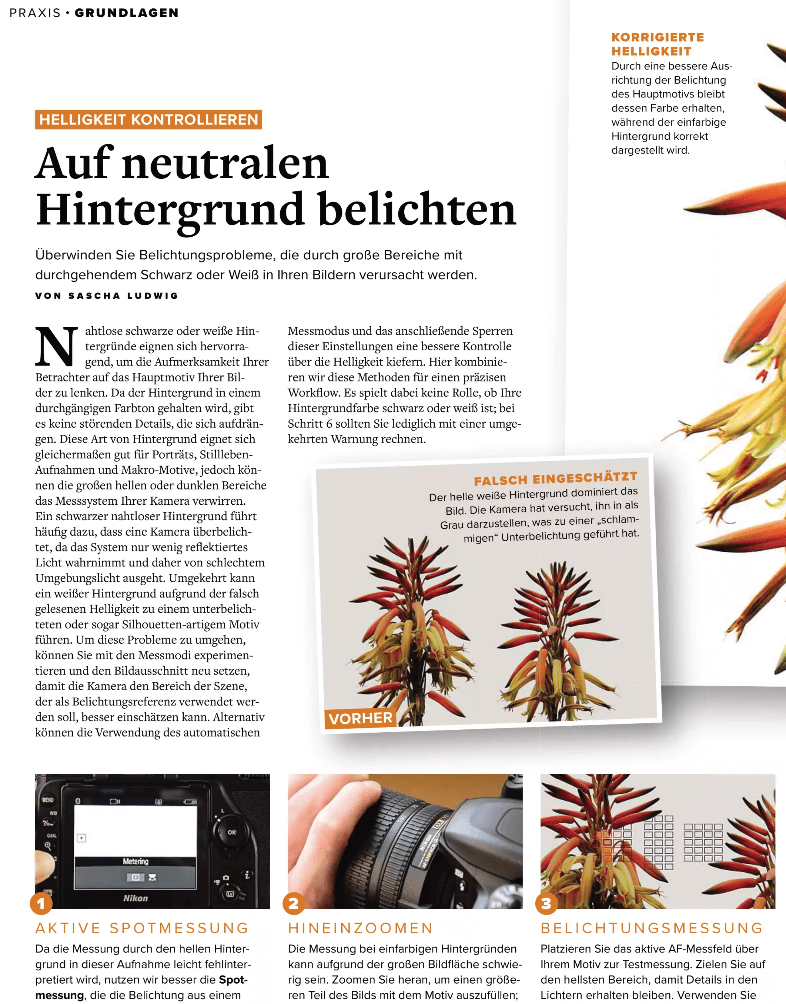 chip-foto-video-magazin.png (199 KB)